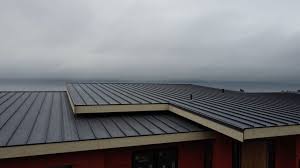 Best Sheet Metal Roofing  in Day Heights, OH